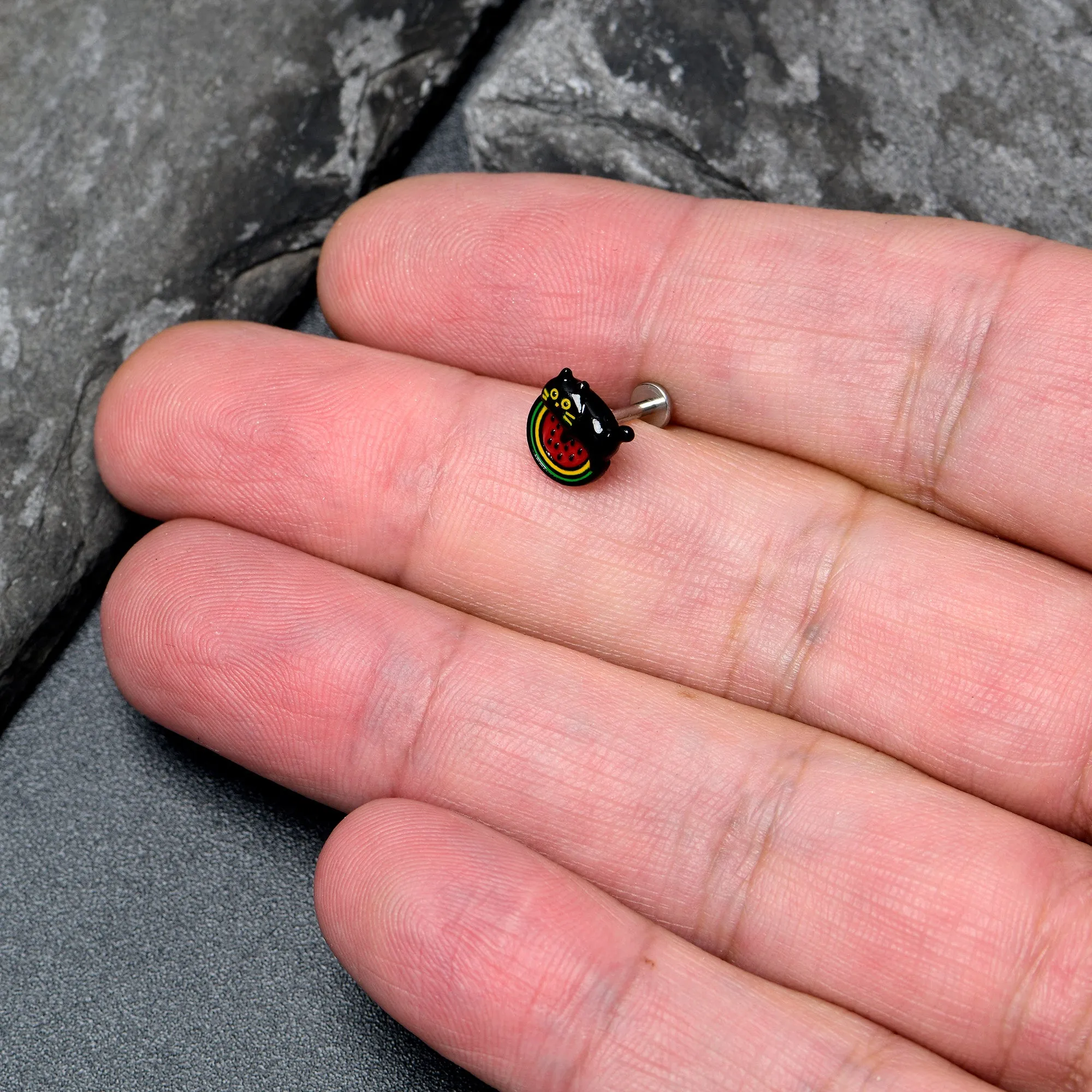 16 Gauge 5/16 Watermelon Cat Love Labret Monroe Tragus