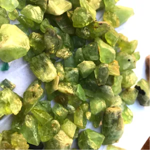 300 Grams Peridot Rough Stones for Cabbing