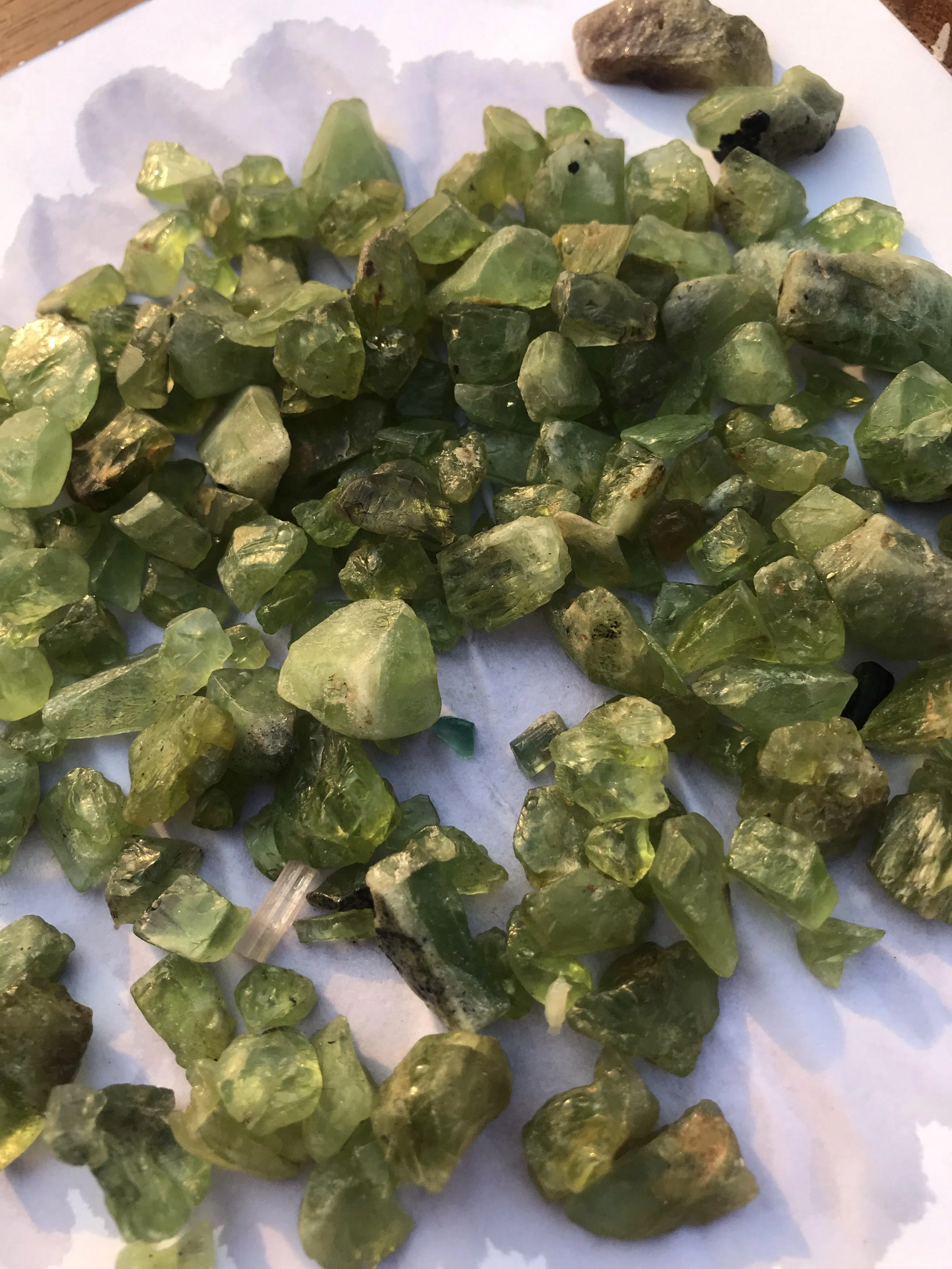300 Grams Peridot Rough Stones for Cabbing