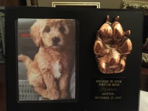 BRONZED PET PAW PLAQUE