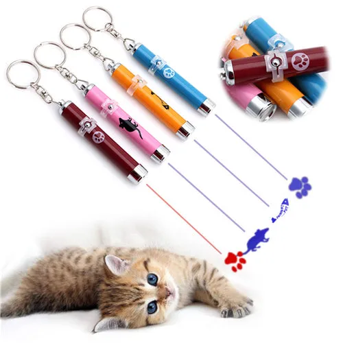 Cat & Dog Laser Pointer Toy