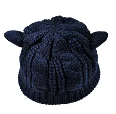 Cat Ears Knit Hat