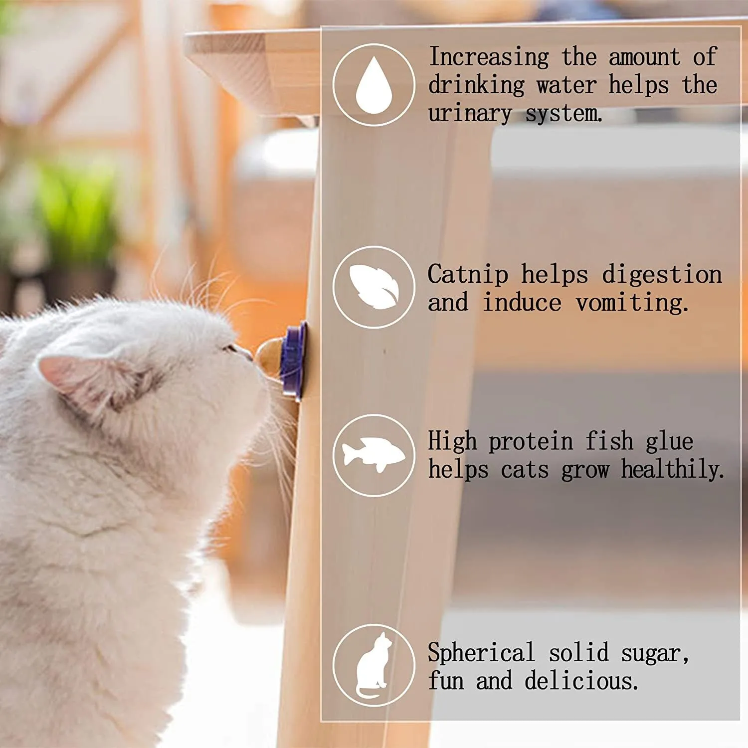 CAT HEALTHY TREAT