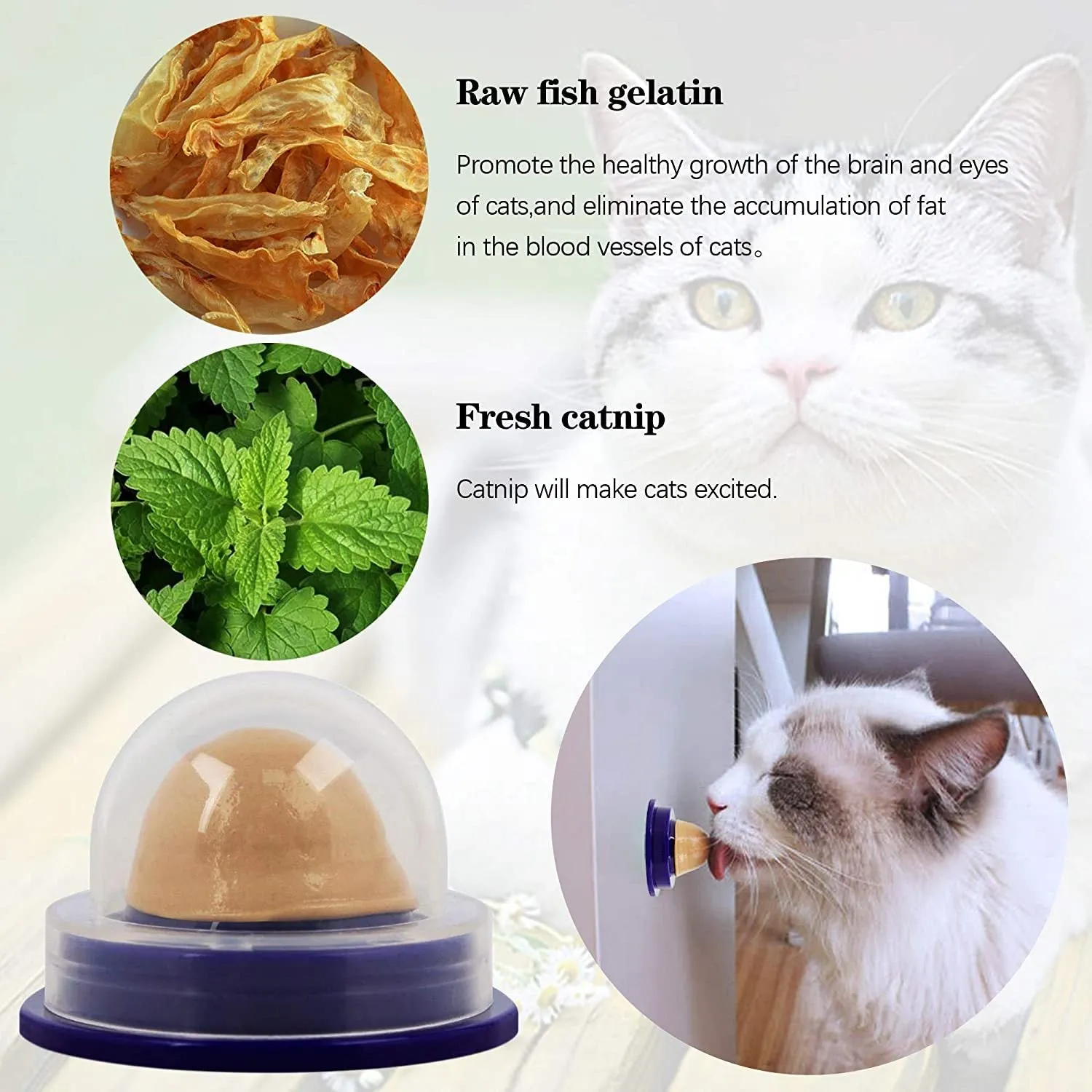 CAT HEALTHY TREAT