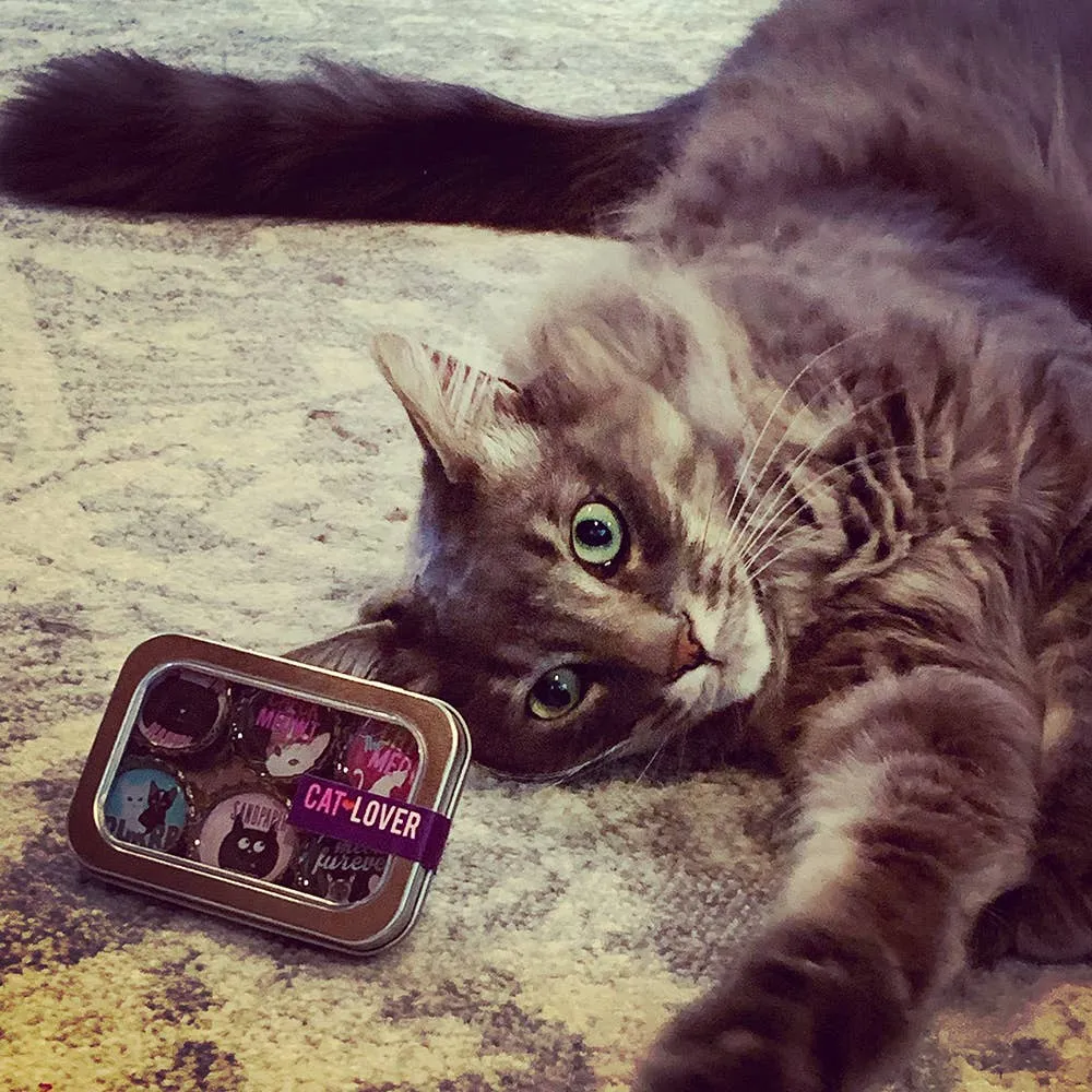 Cat Lover Magnets
