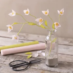 Cherry Flower Branch Crepe Paper Craft Kit | All Materials & Instructions Included