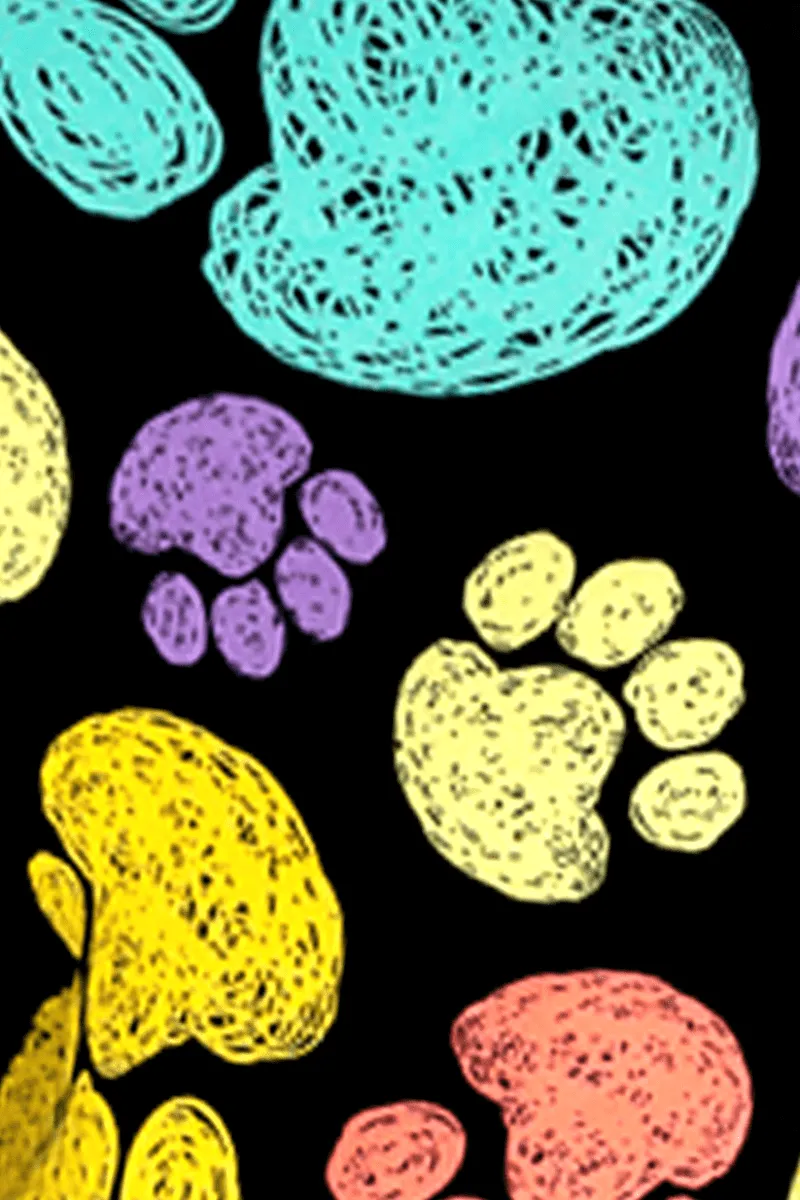 Colorful Paws Curvy Plus Size Leggings