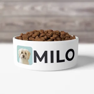 Custom Pet Bowls