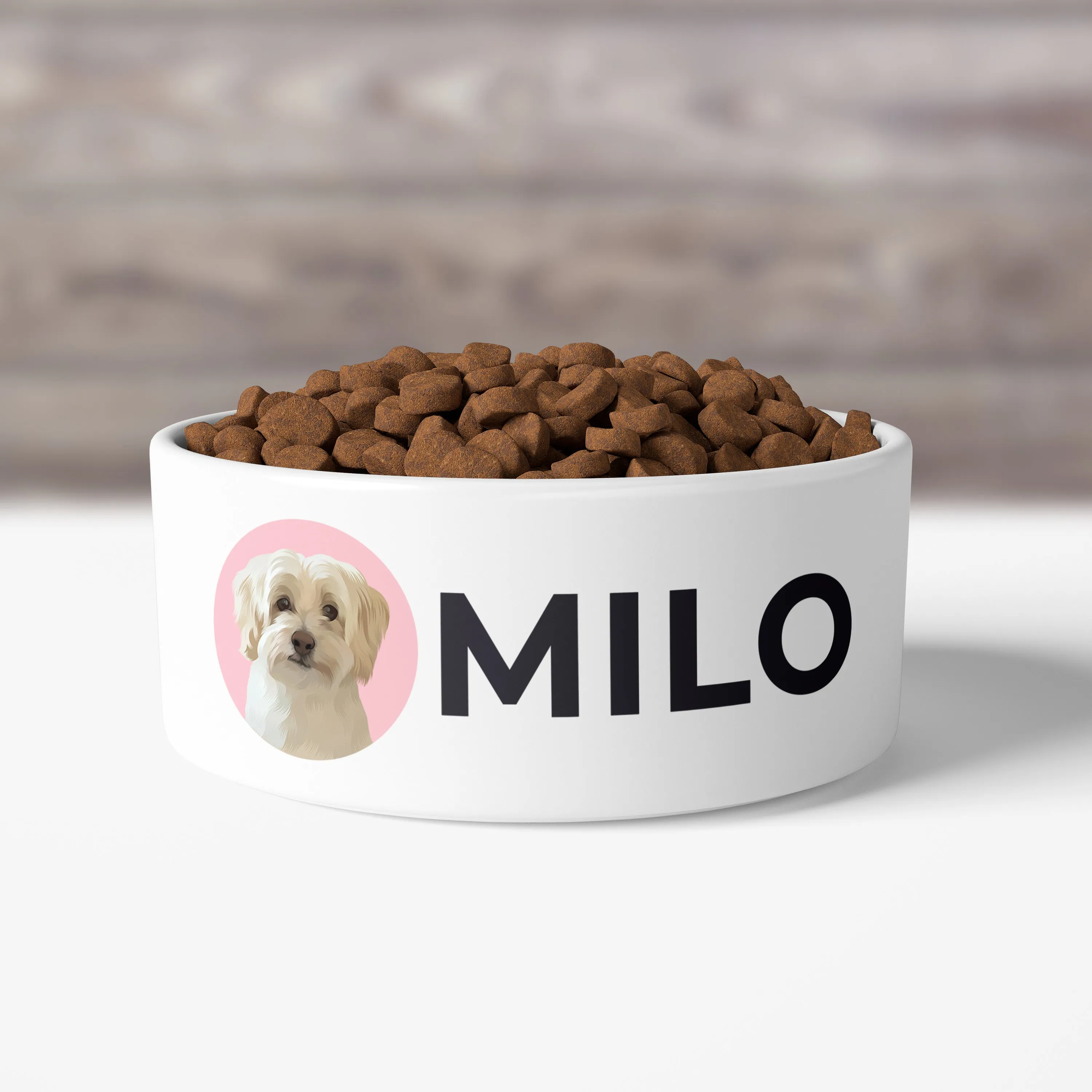 Custom Pet Bowls