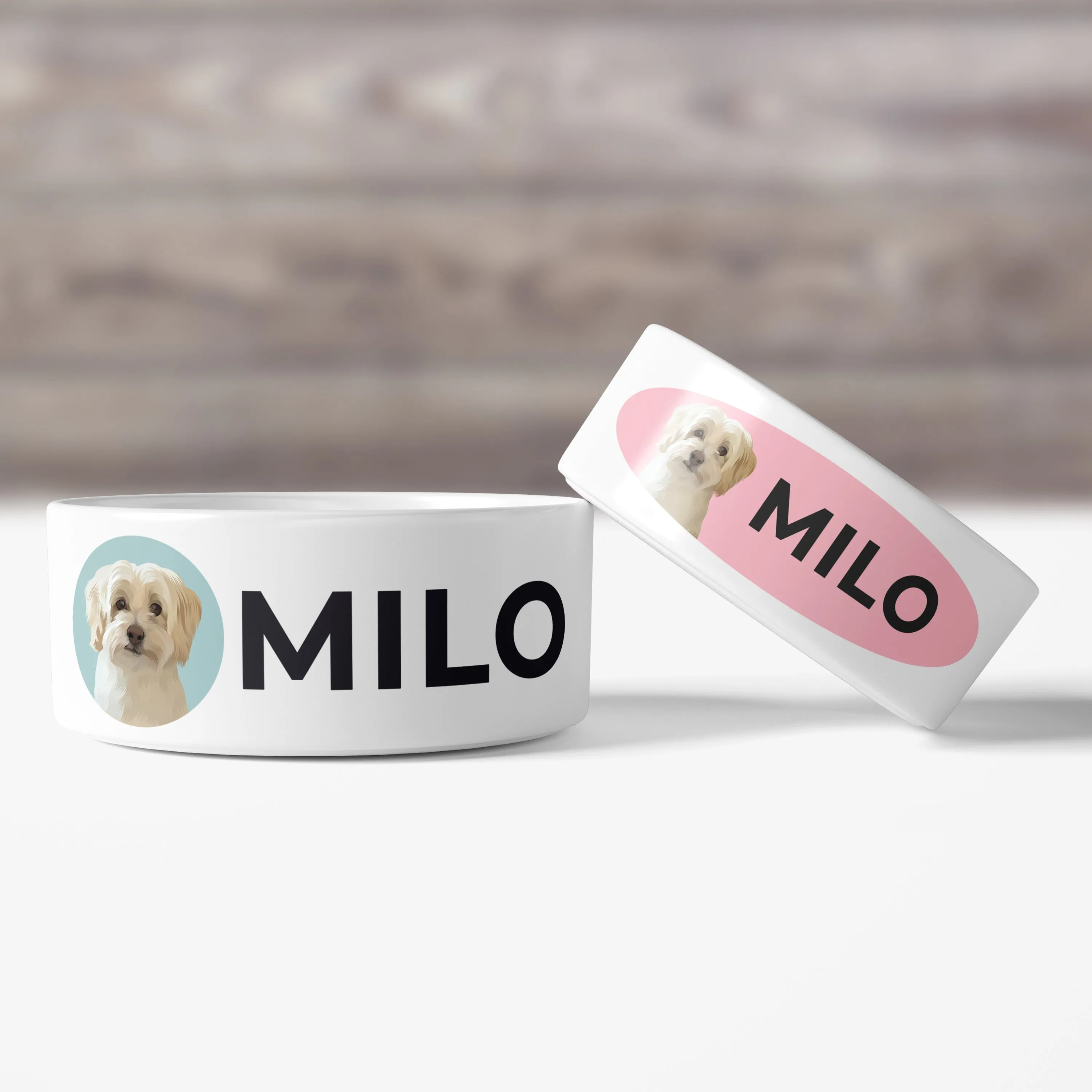 Custom Pet Bowls