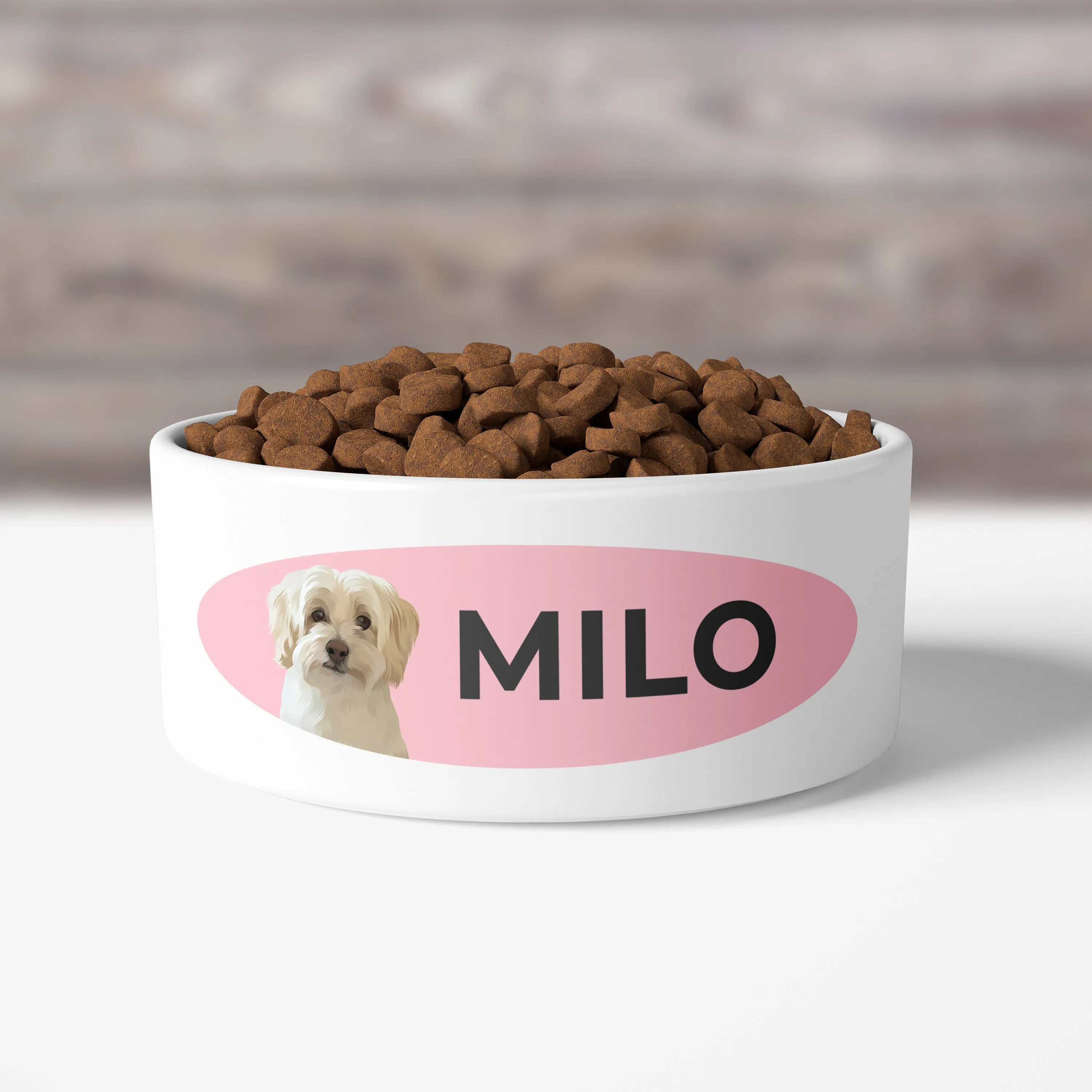 Custom Pet Bowls