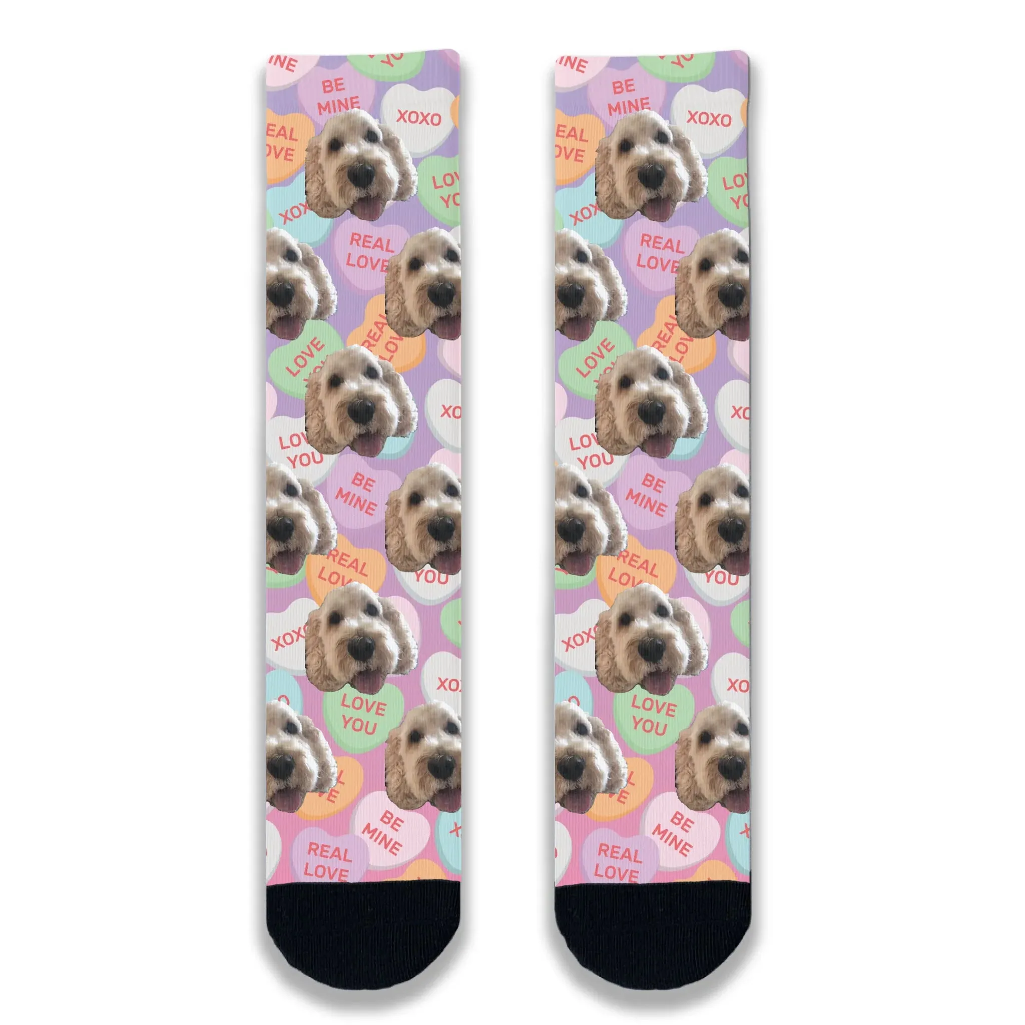 Dog All Over Love Heart Personalised Socks