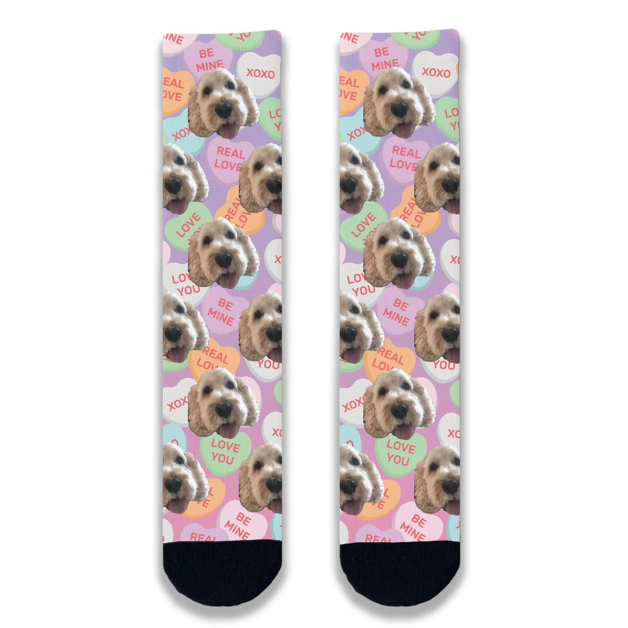 Dog All Over Love Heart Personalised Socks