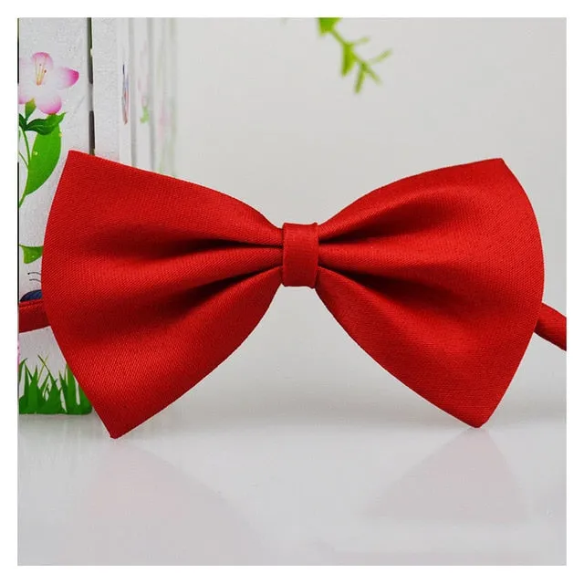 Dog Bow Tie