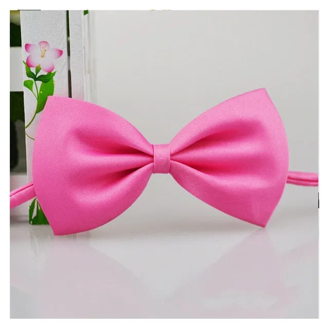 Dog Bow Tie