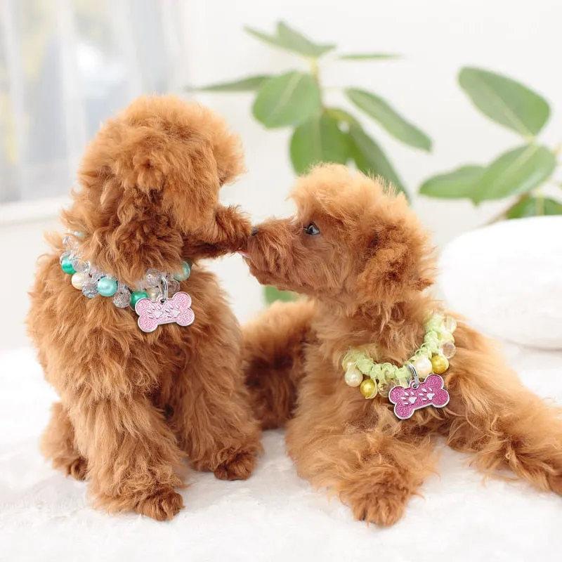 Dog's Personalized Tag