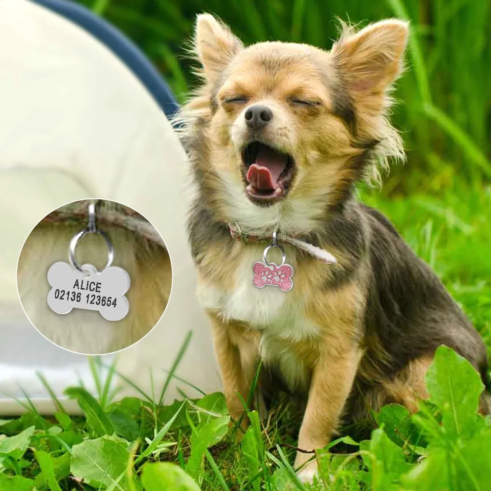 Dog's Personalized Tag