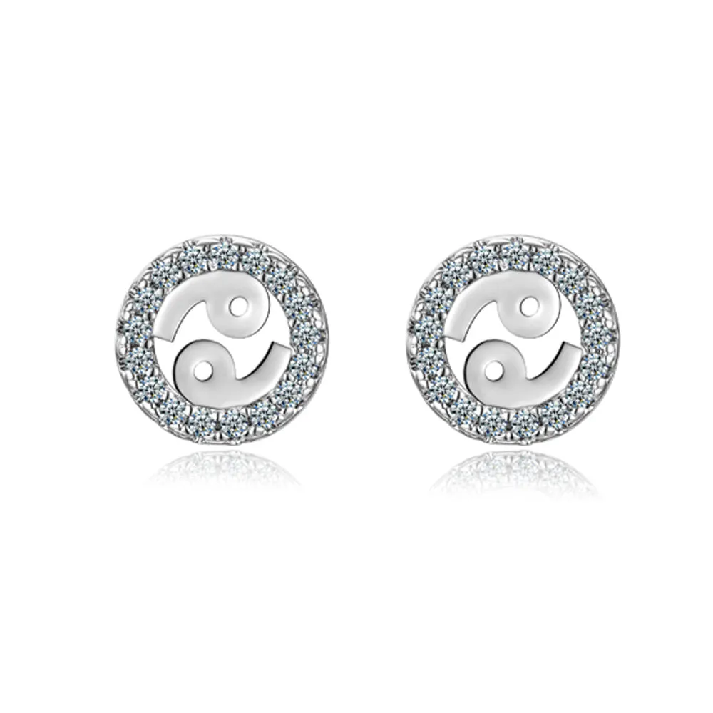 Fancified Silver 925 Sterling silver Earrings