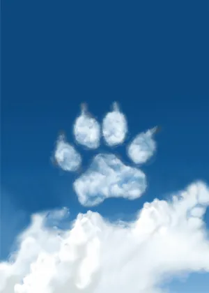 From Your First Hello Pet Loss Sympathy Greeting Card