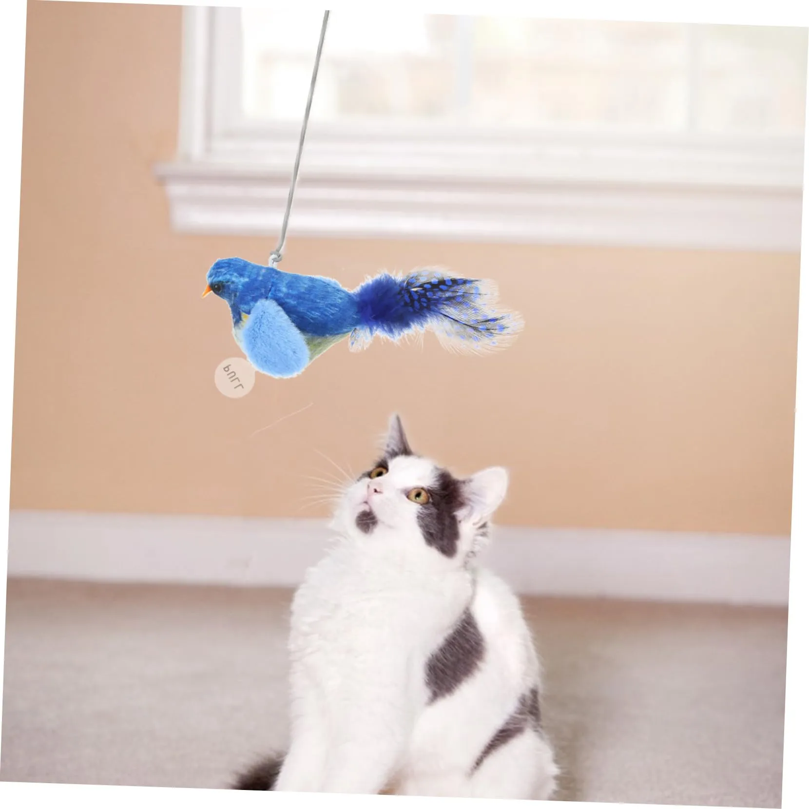 Hohopeti Cat Noise Toy Household Kitten Toy Portable Kitten Toy Portable Cat Teasing Toy Hanging Cat Toys Small Kitten Toy Interesting Cat Bird Toy Funny Toy The Cat Hanging Toys Pp