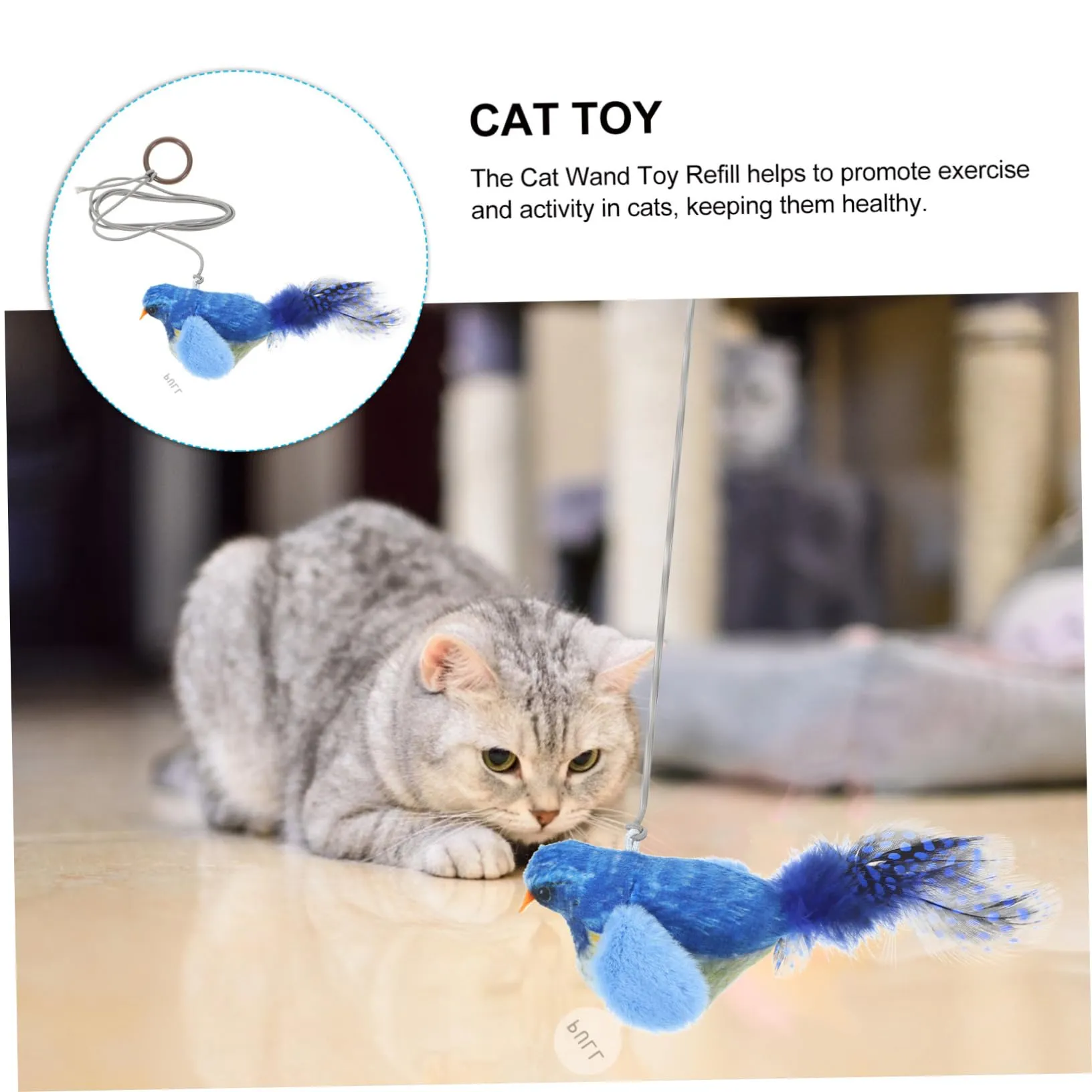 Hohopeti Cat Noise Toy Household Kitten Toy Portable Kitten Toy Portable Cat Teasing Toy Hanging Cat Toys Small Kitten Toy Interesting Cat Bird Toy Funny Toy The Cat Hanging Toys Pp