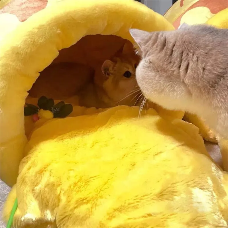 Honey Jar Shape Pets