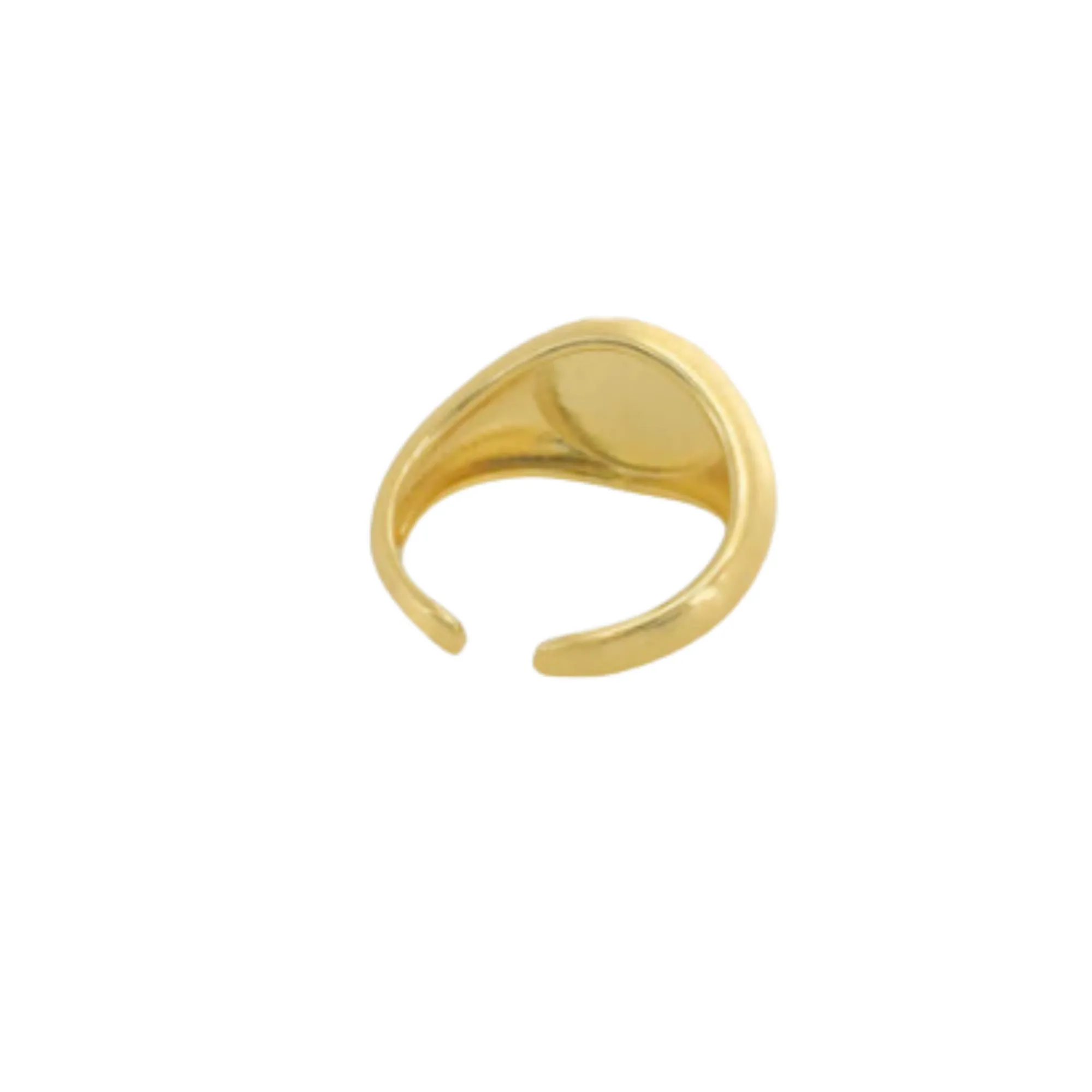 Interstellar Inspired Ring