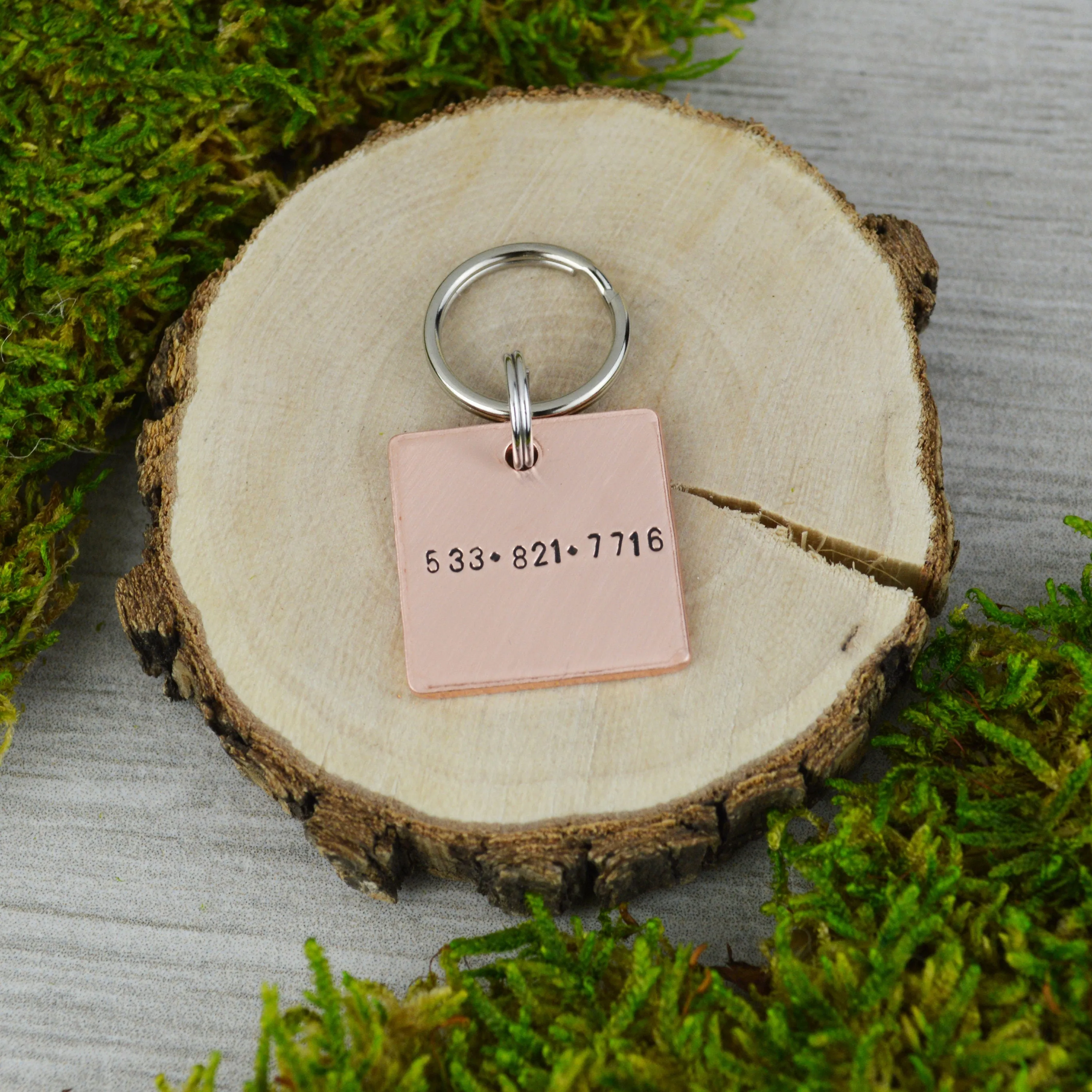 Just A Name Mini Pet ID Tag