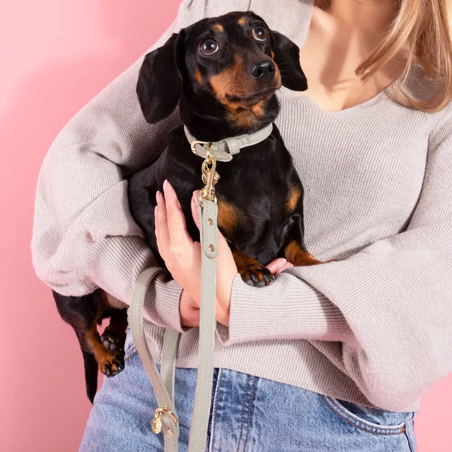 Katie Loxton Dog Collar - Grey