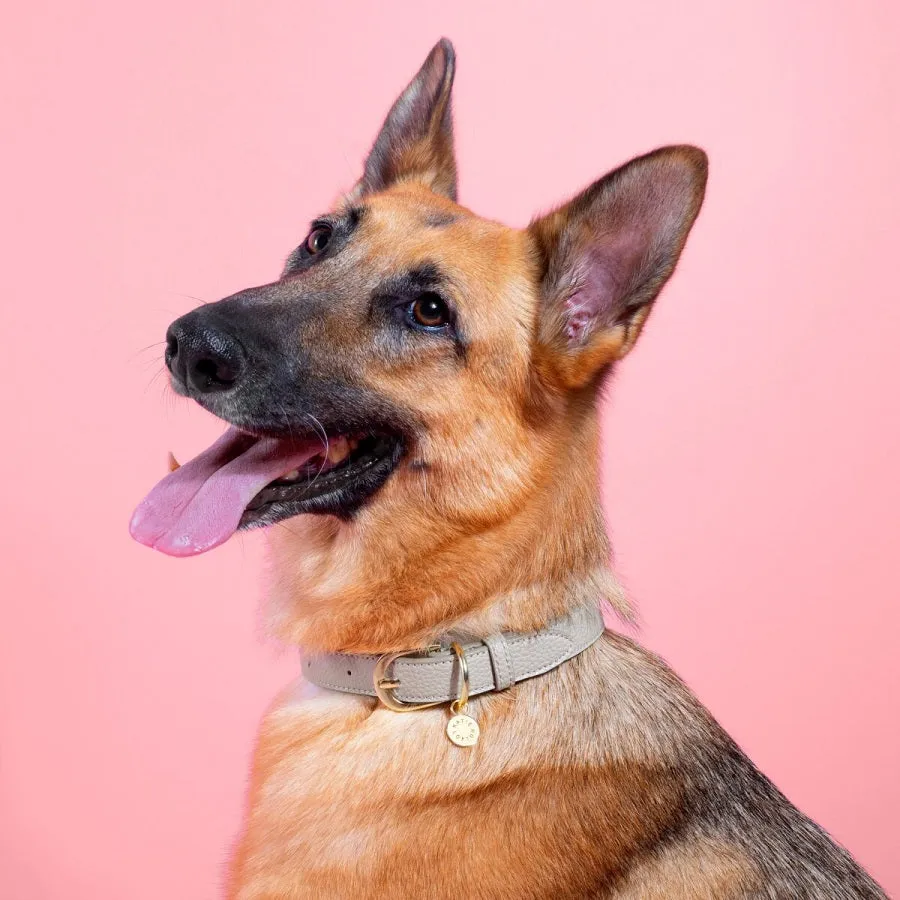 Katie Loxton Dog Collar - Grey