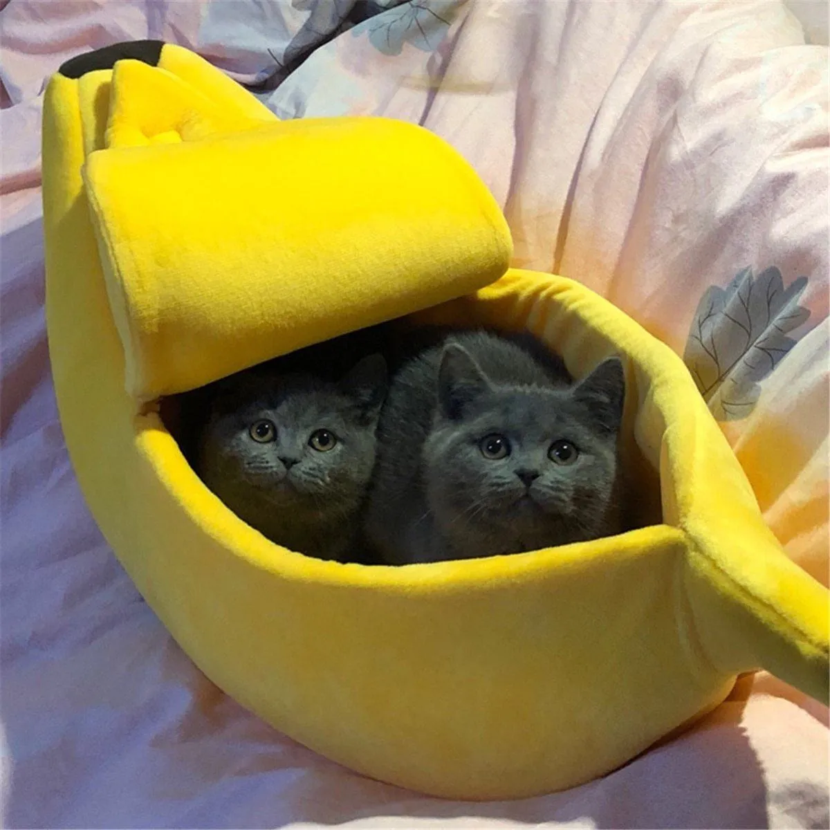 KittyPeel - Pet Banana Hideaway
