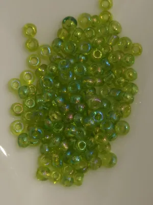 Kiwi rainbow 57
