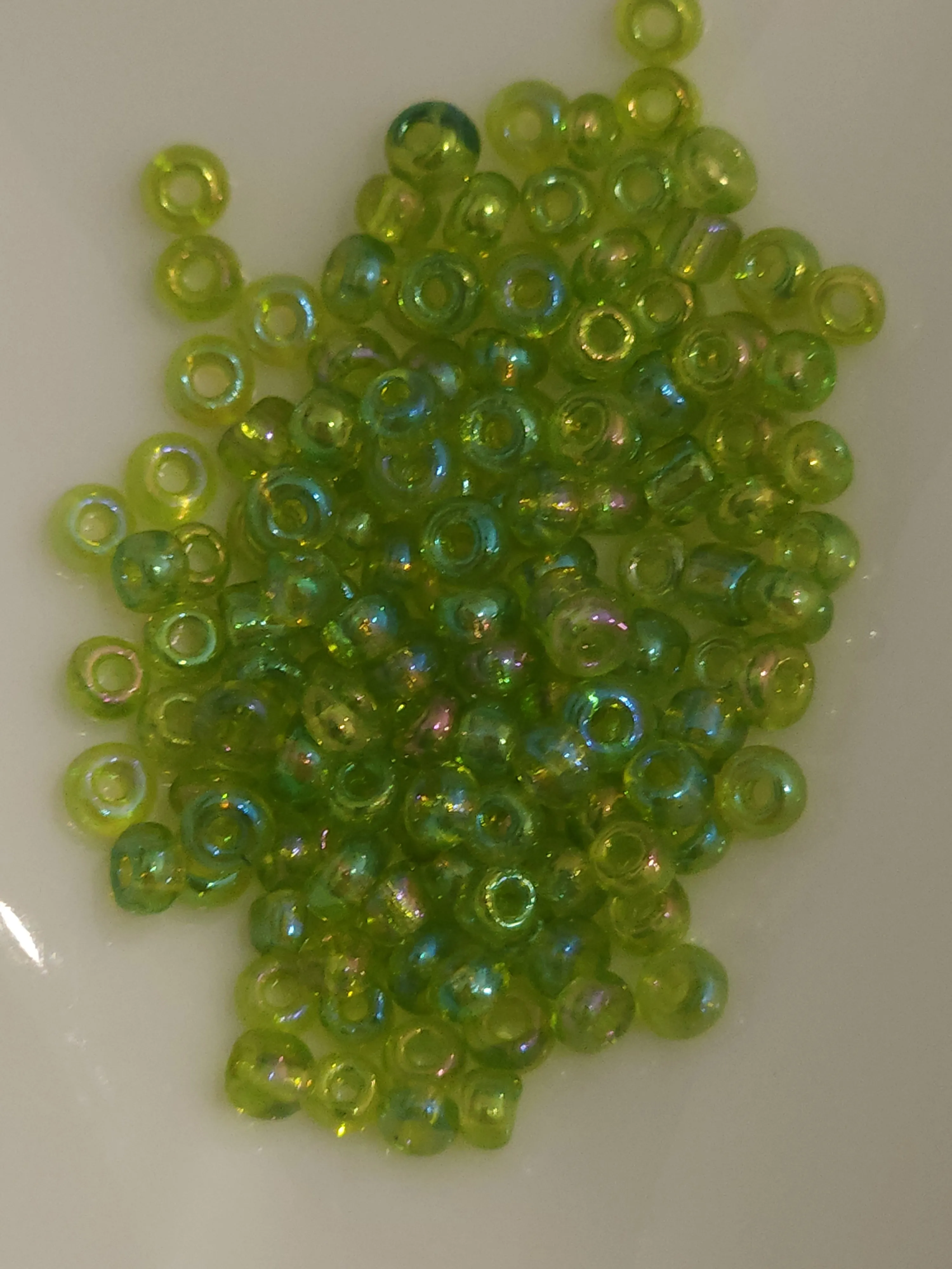 Kiwi rainbow 57