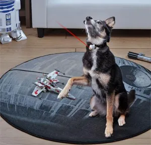 Laser Pointer Pet Collar For Your Dog or Cat