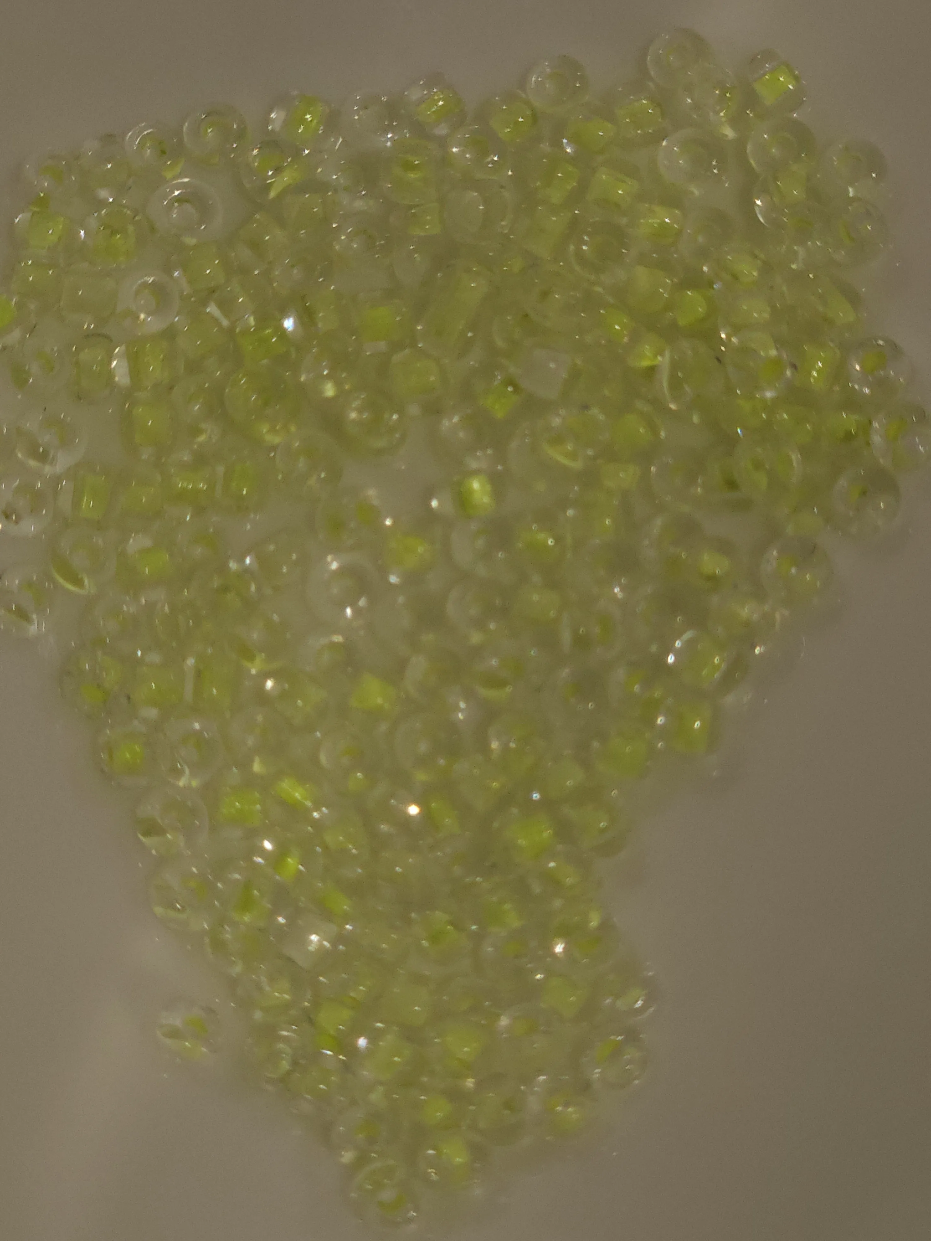 Lemon lime 9