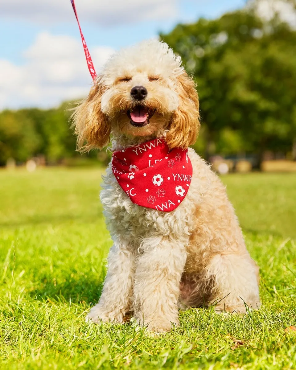 LFC Reversible Pet Bandana
