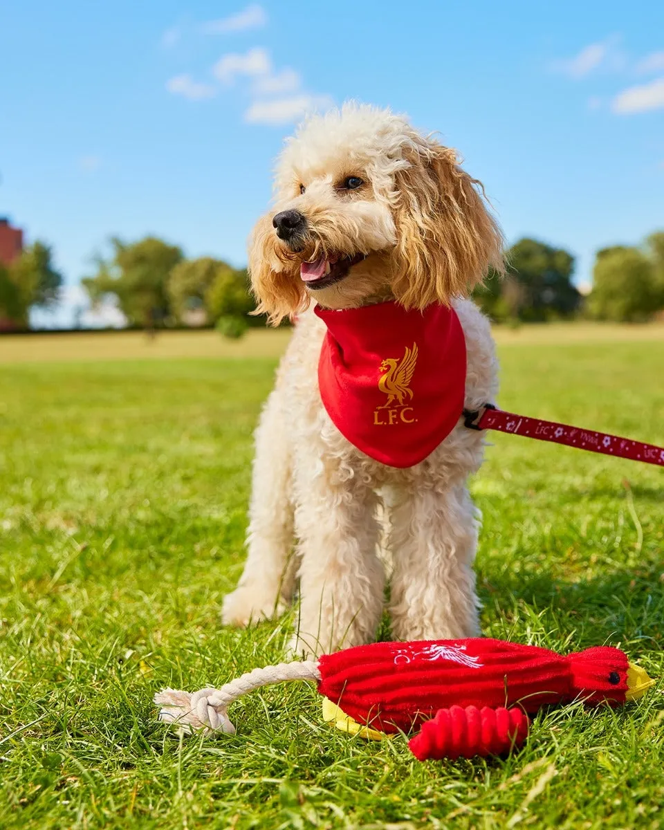 LFC Reversible Pet Bandana
