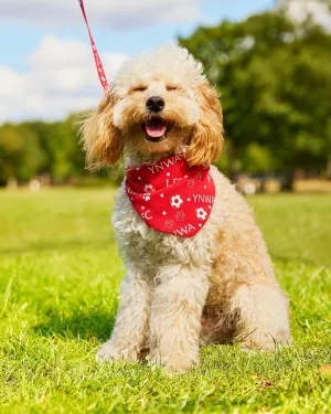 LFC Reversible Pet Bandana