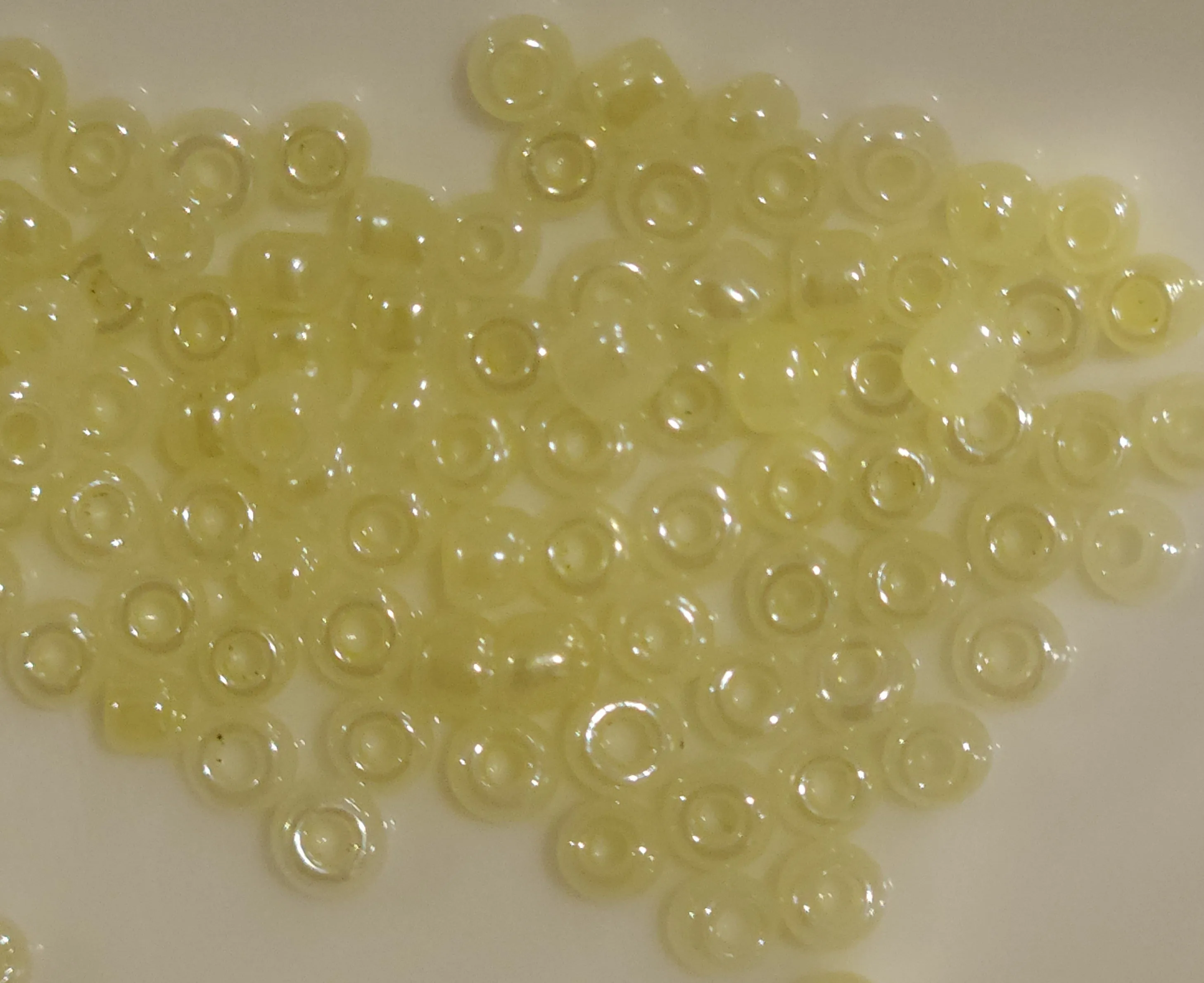Light yellow 7