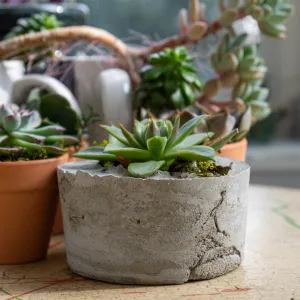 Making in Place Kits: Cast Concrete Planter
