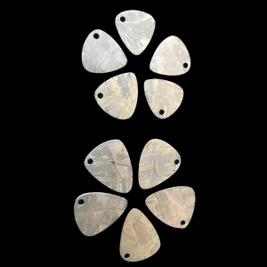 Meteorite Guitar Pick<BR>by Biker Dope™