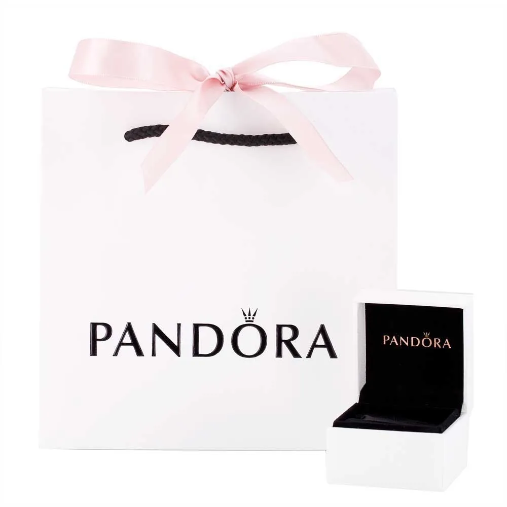 Pandora Sparkling Paw Print Animal Charm