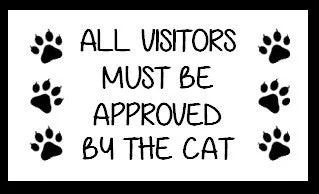 Paw Parent Kit - CAT