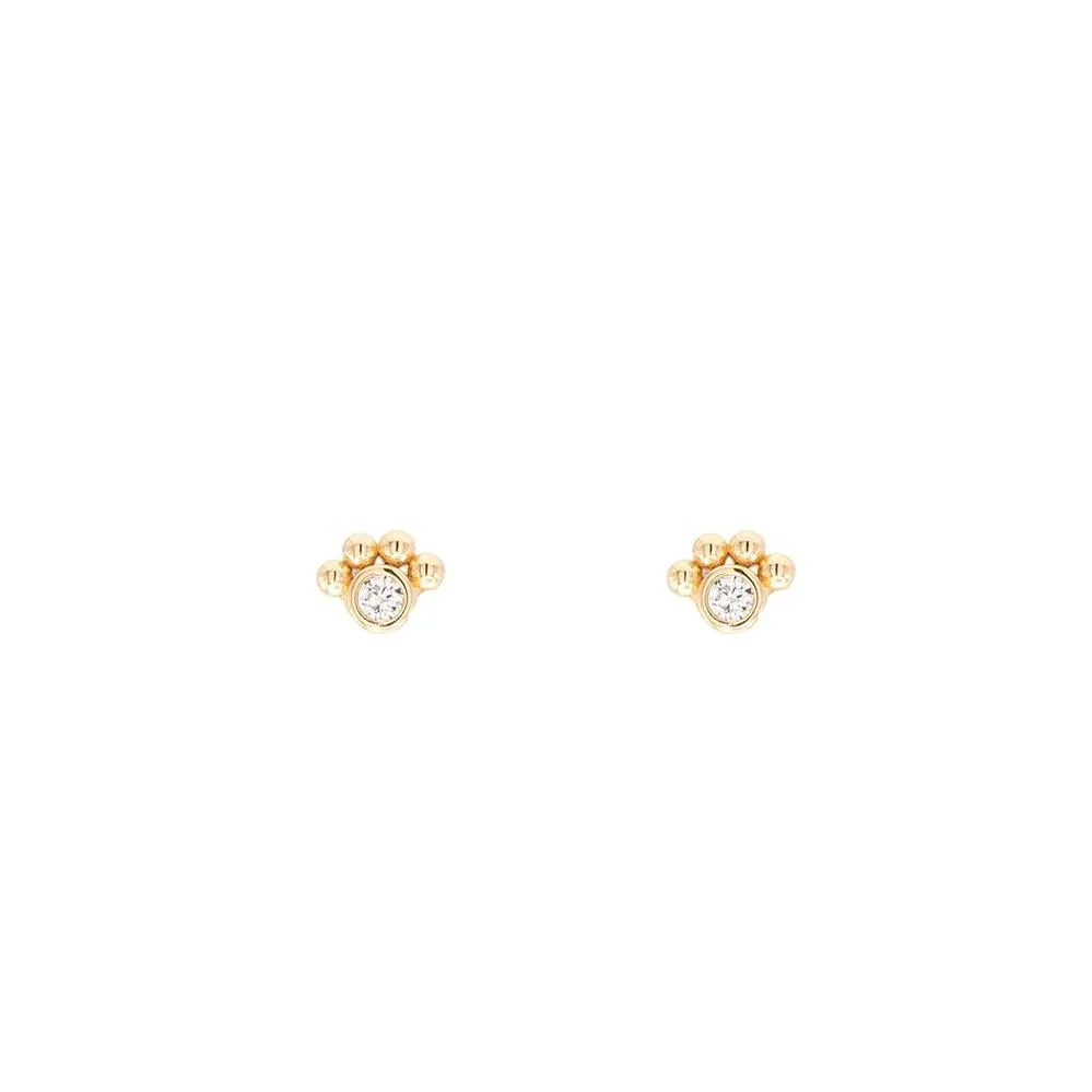 Paw Print Cubic Zirconia Gemstone Post Stud Earring Pet