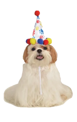 Paw Print Dog Hat