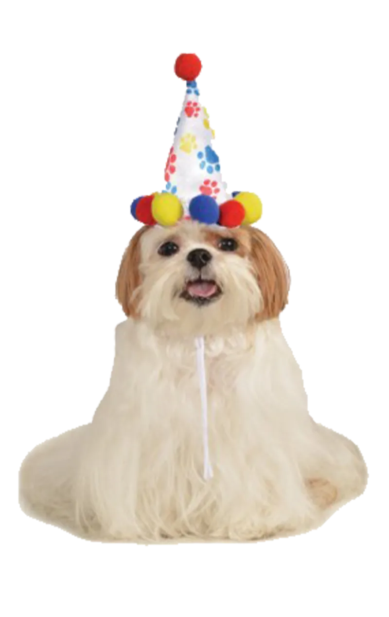 Paw Print Dog Hat