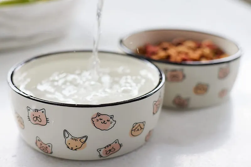 Pearhead Cat Faces Pet Dish