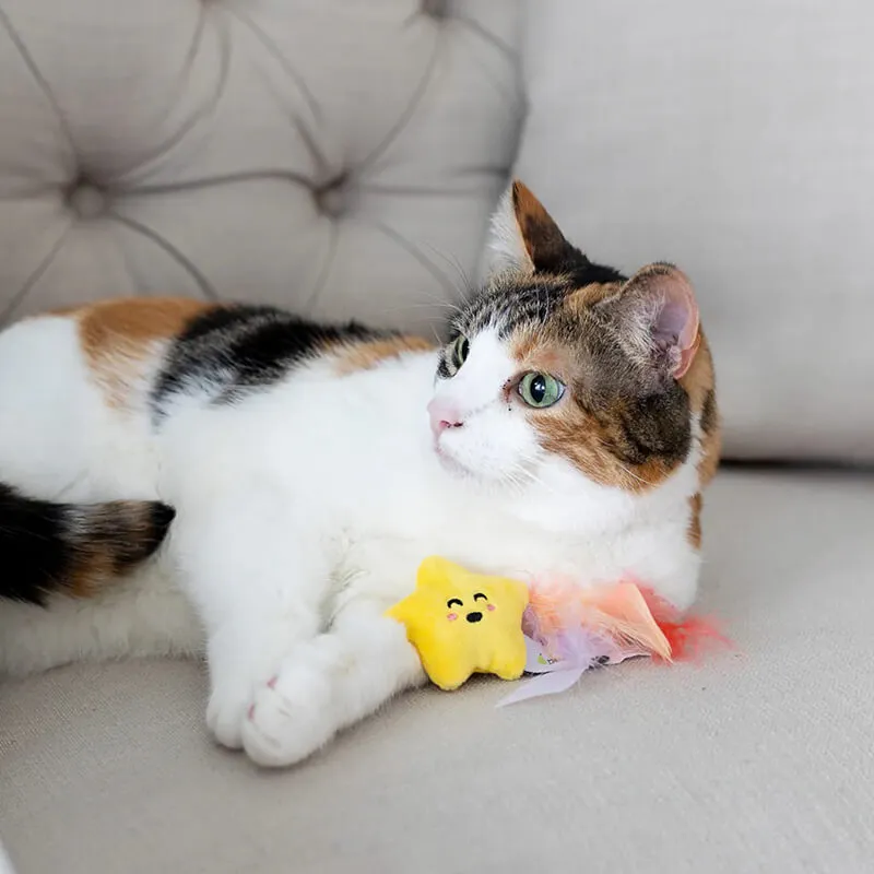 Pearhead Outer Space Cat Toy Set