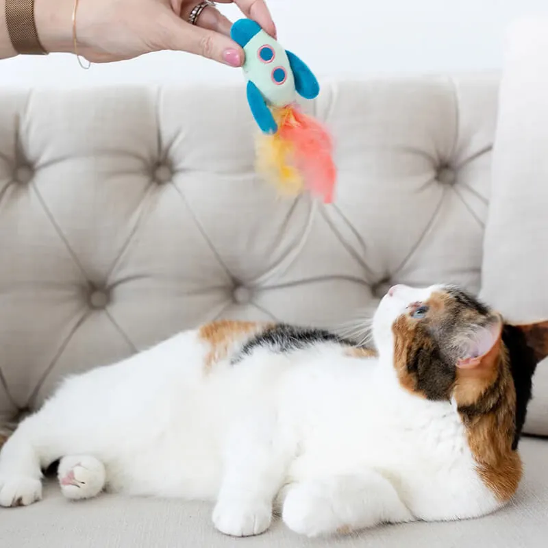 Pearhead Outer Space Cat Toy Set