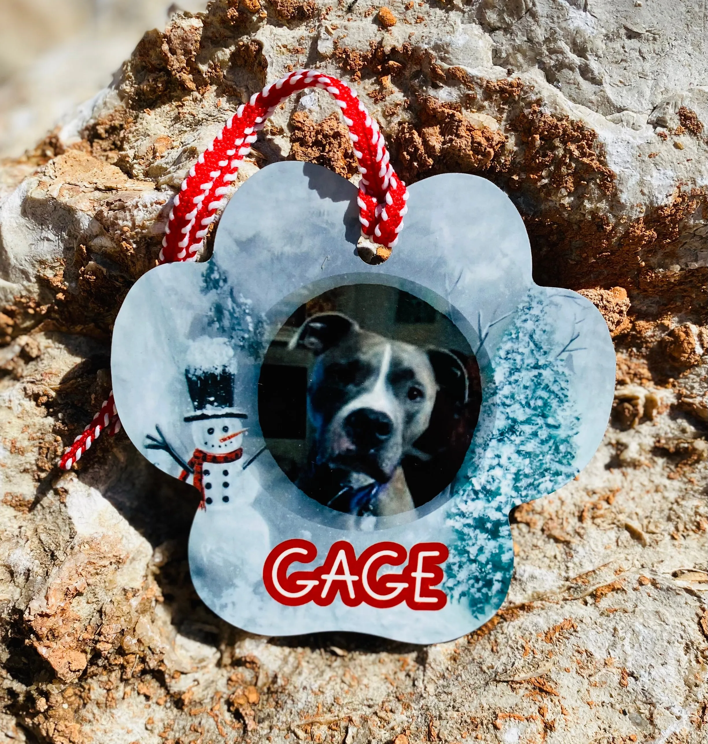 Pet Photo Ornaments